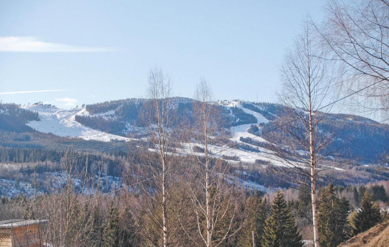Pet Friendly Home In Sysslebaeck With Kitchen Långav Kültér fotó